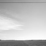 Veduta della campagna dalla SP83, Capitanata, Cerignola (Foggia)